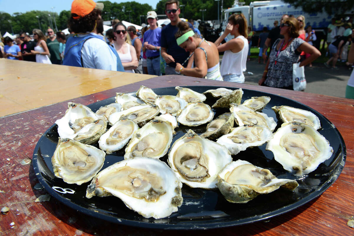 Milford Oyster Fest 2024 Joana Kathryne