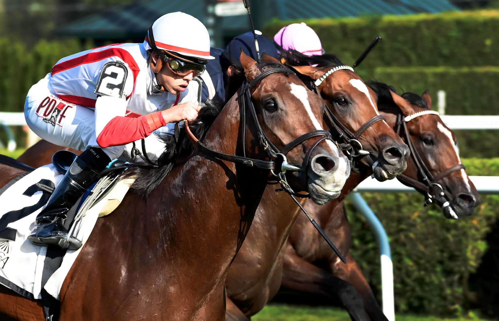 Trainer Chad Brown wins National Museum of Racing Hall of Fame Stakes ...