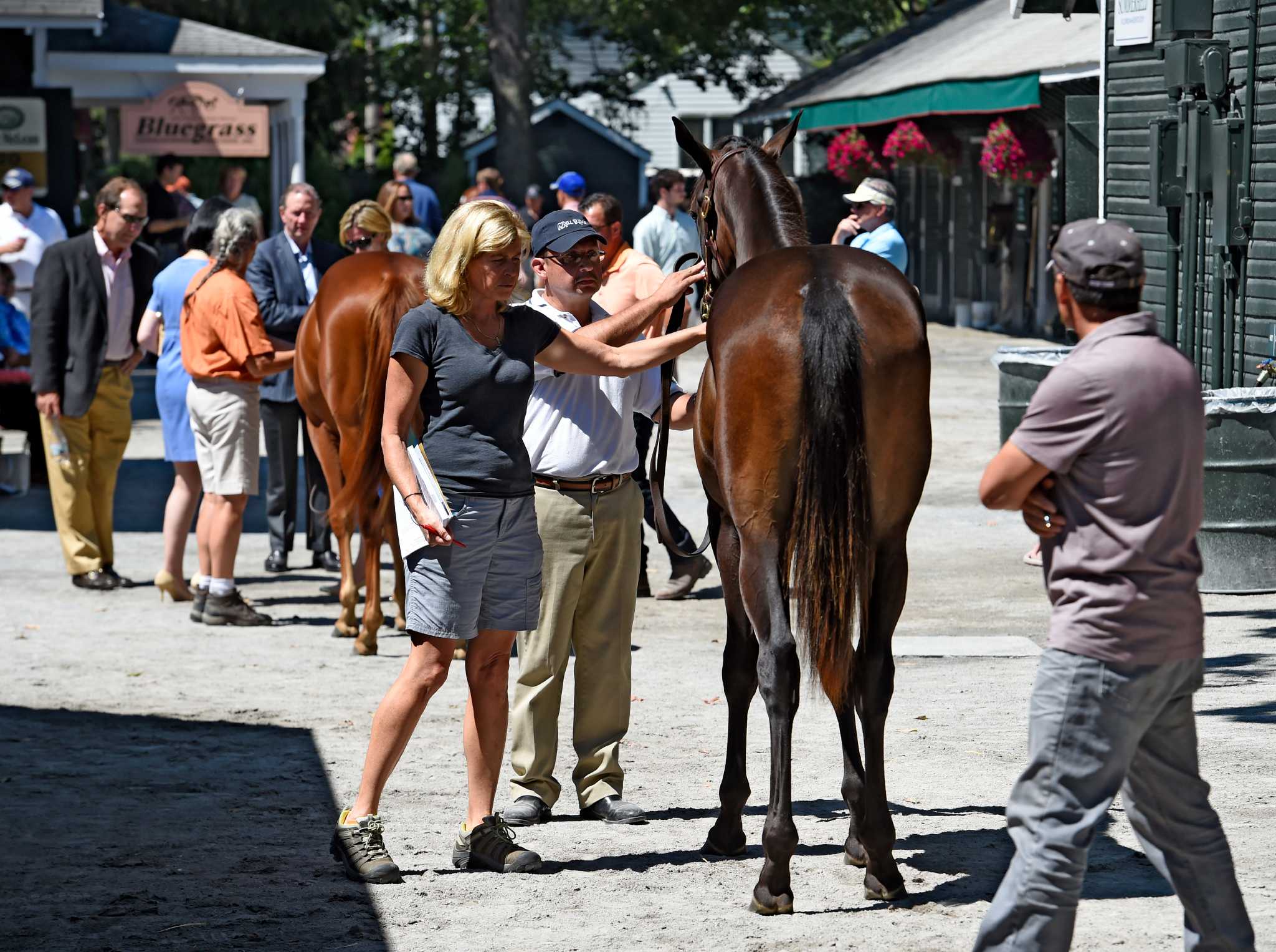 FasigTipton auctions MondayTuesday in Saratoga Springs