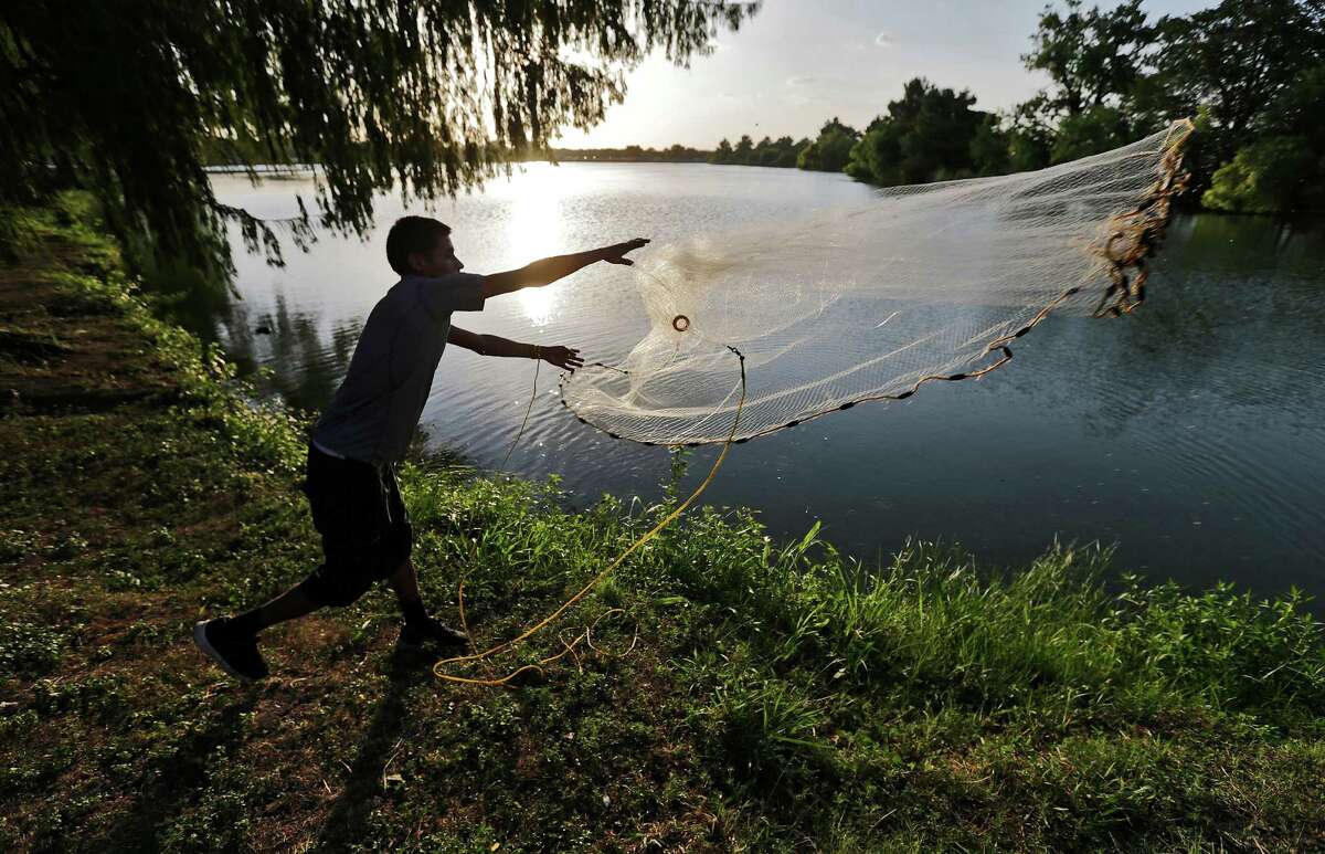 Fernando Yanez casts a net into Woodlawn Lake in an attempt to catch minnows for bait before sunset on a recent day. High temperatures almost reaching triple digits have made outdoor work and recreation barely manageable during the day.