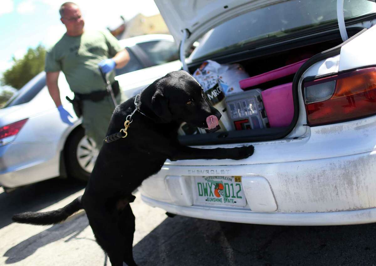 Dea Data Shows Harris County As One Of Country S Top Sites For Flakka Cases