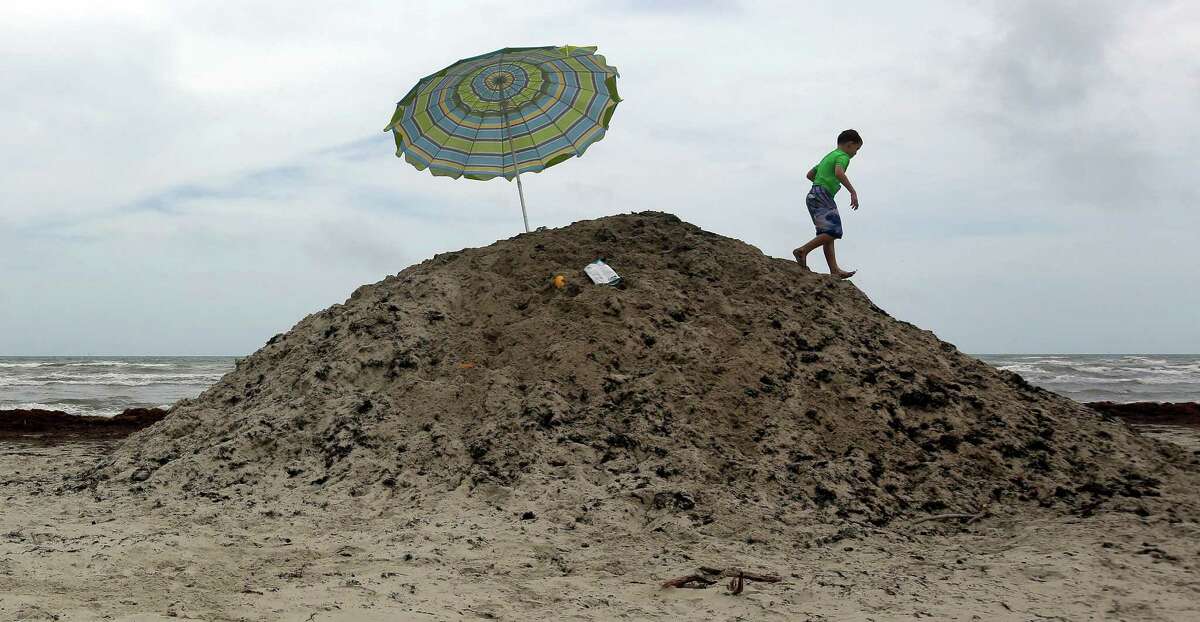 A young boy plays on a pile of seaweed on the beach, June 24, 2014, in Port Aransas. The Sargassum is piled and removed as it continues to wash onto the beach.