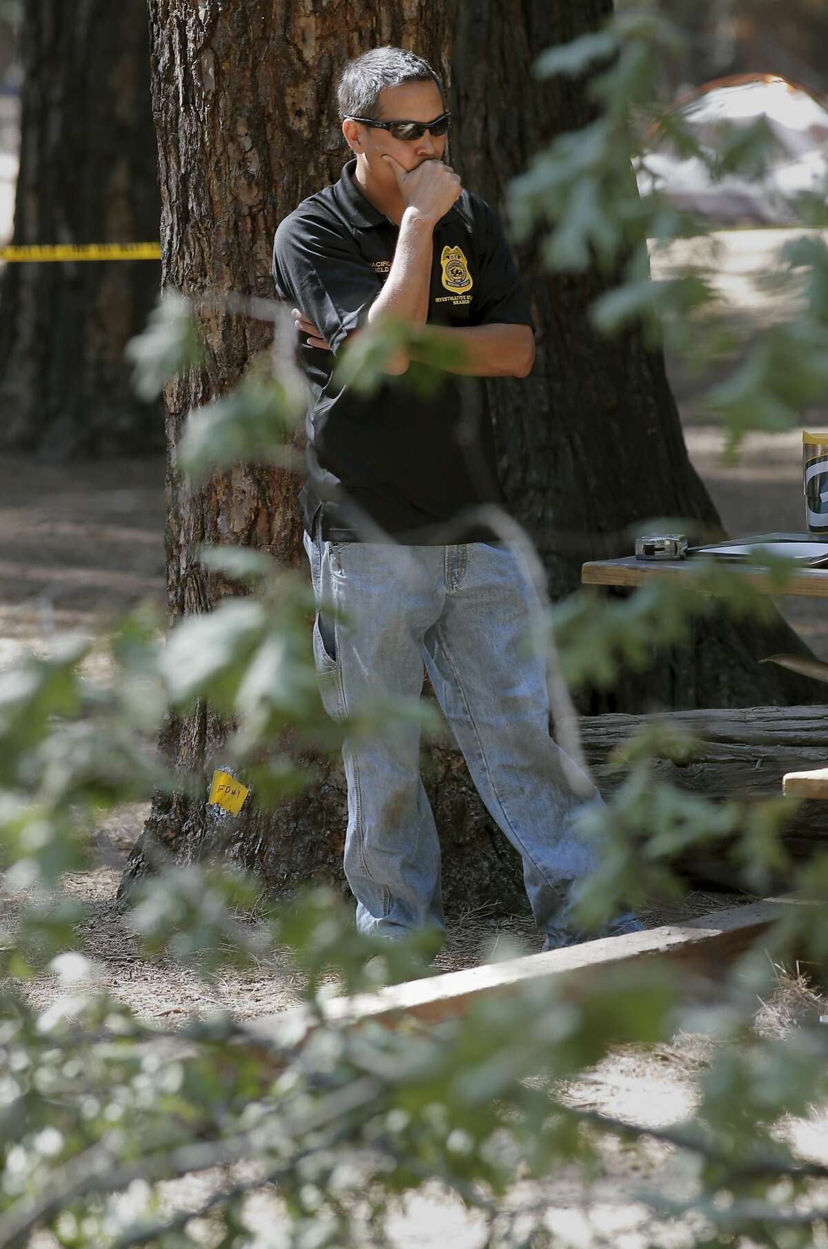 How common (or rare) are deaths at Yosemite National Park?