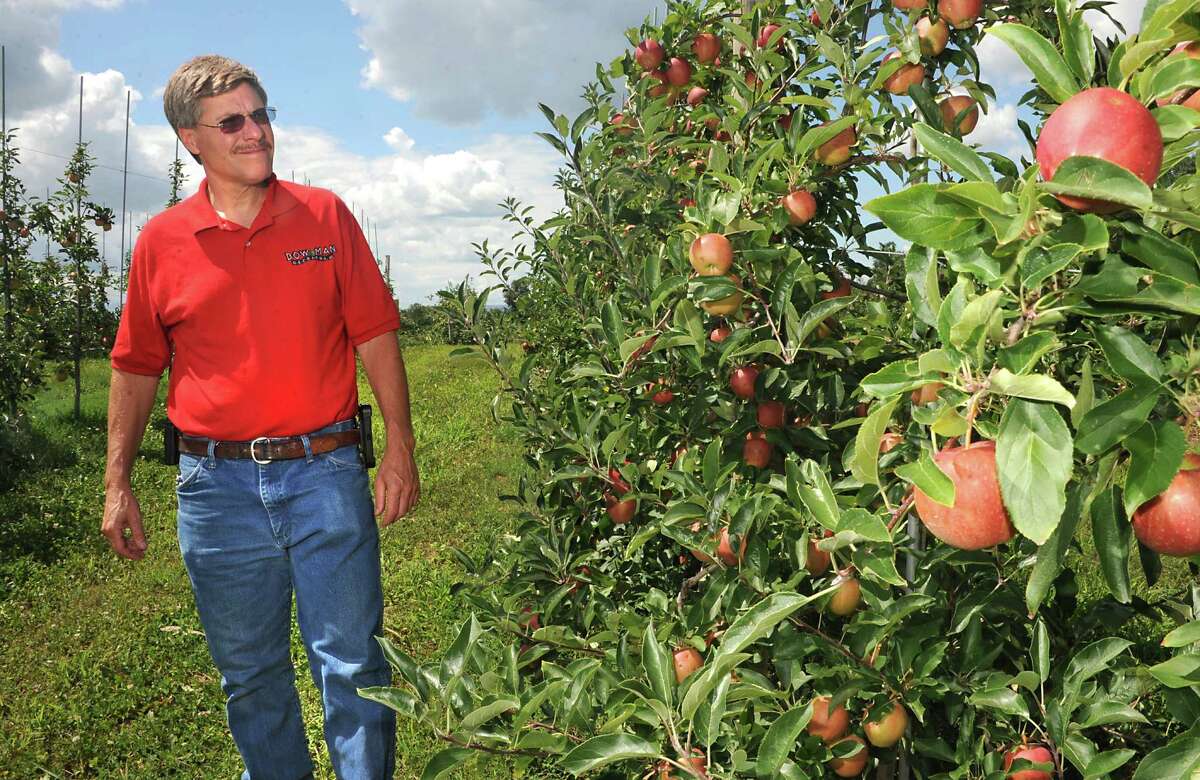 Pesticide issue raised at NYS bee health task force