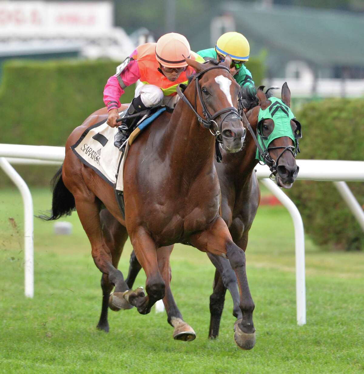 Grand Arch with jockey Luis Saez puts away the competition for the win in the Fourstardave stakes Saturday afternoon Aug. 15, 2015, at the Saratoga Race Course in Saratoga Springs, N.Y. (Skip Dickstein/Times Union)