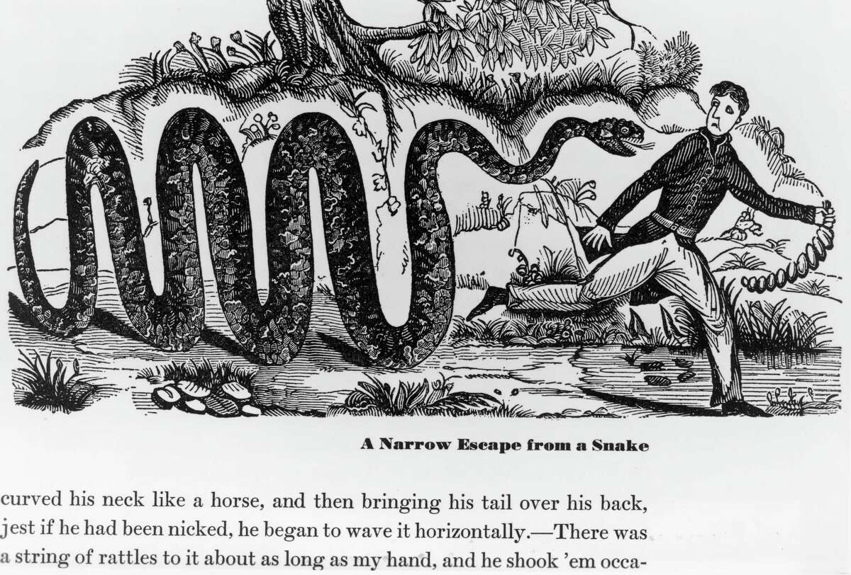 Cartoon showing Davy Crockett running from a snake with caption 'A Narrow Escape from a Snake', circa 1800s.