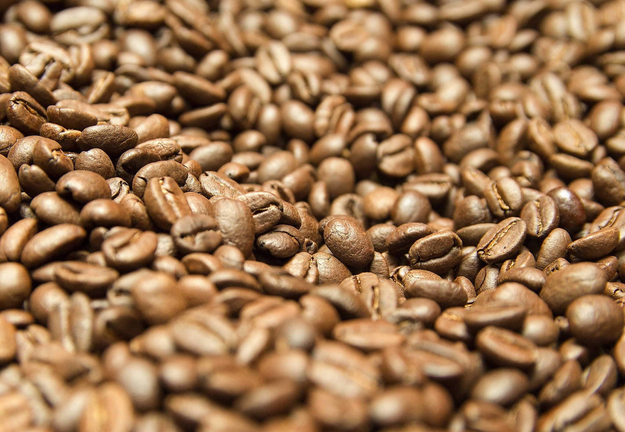 Research Coffee bean shortage predicted due to climate change SFGate