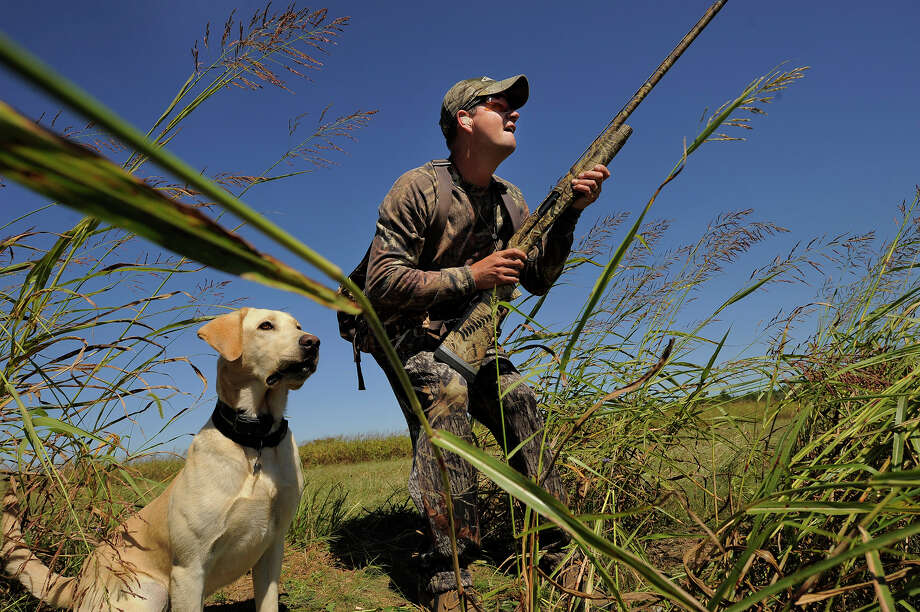   1. Arlington, VA

Take the smell of paninis at the Paramount Cafe

Chill together on the terrace at The Celtic House Irish Pub & amp; Restaurant

Share a bite with your puppy at Ambar Photo: The Washington Post, Getty Images / 2013 The Washington Post 