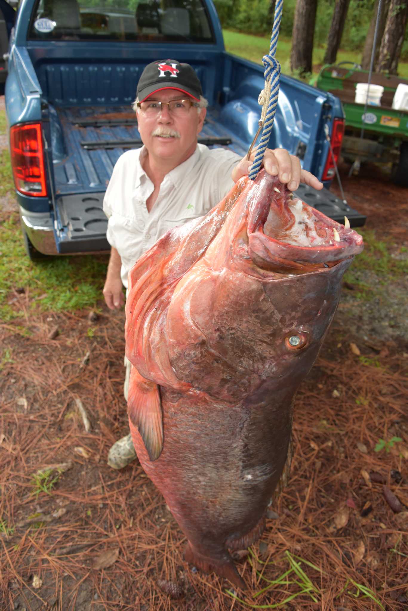Huge cubera snapper fish may top Alabama list but leaves Texas record
