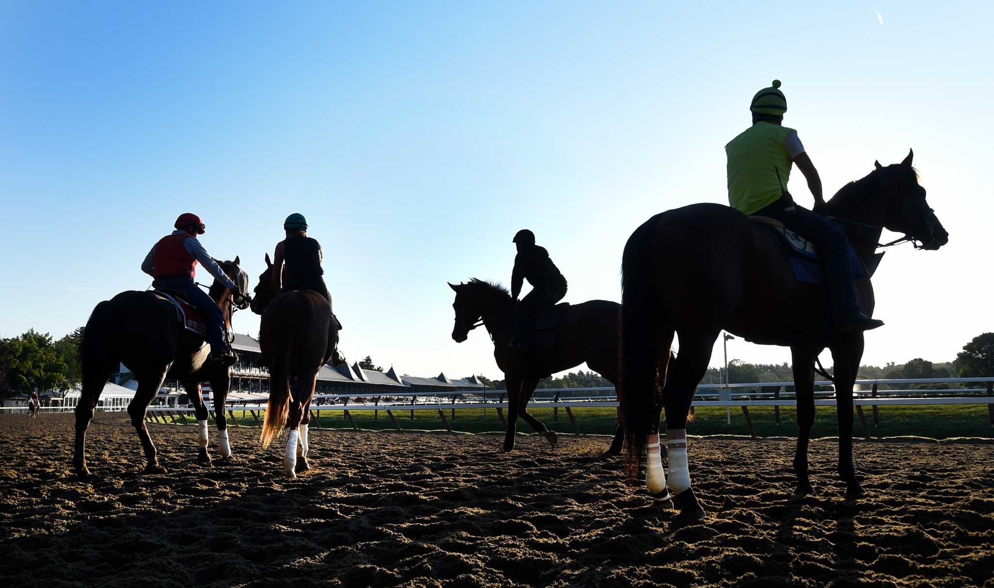 Photos Meet the horses of Saratoga