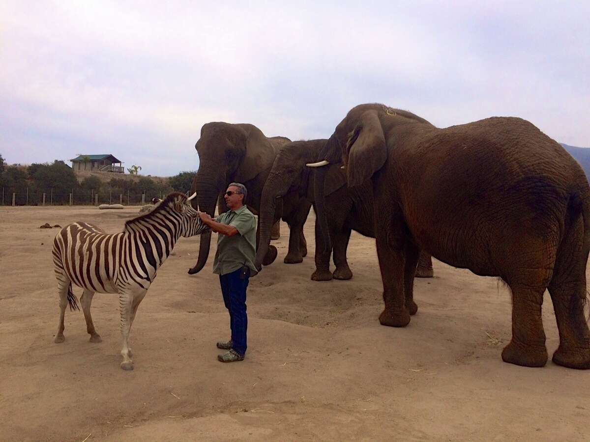 Monterey Zoo A growing haven for retired animals