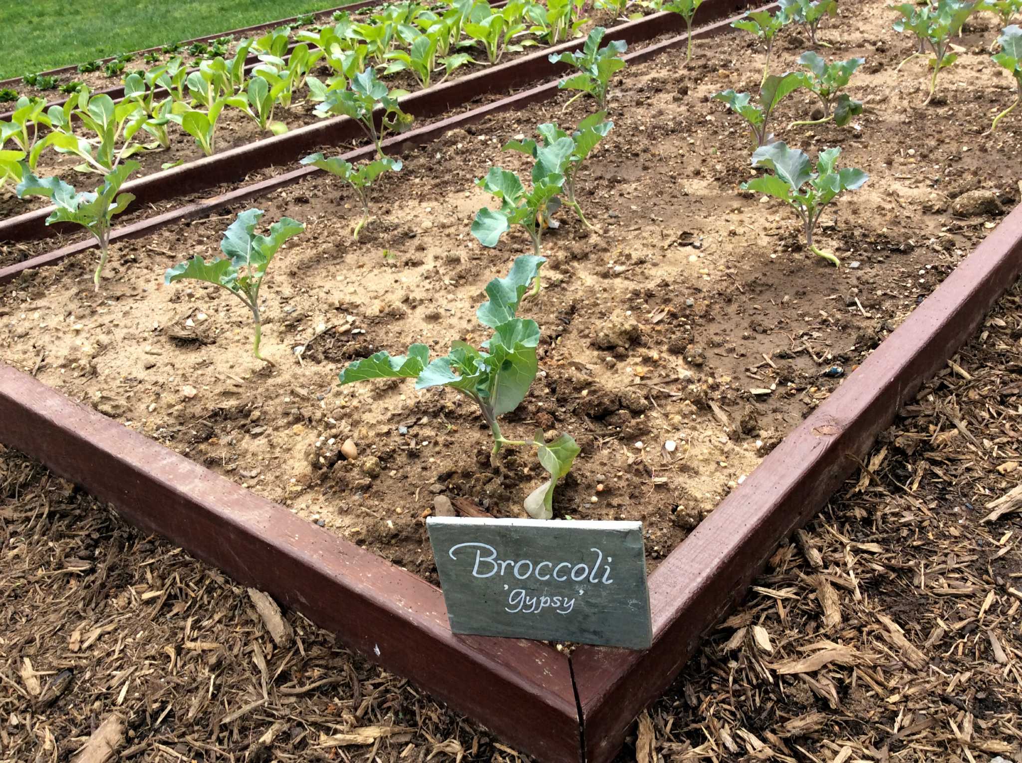 What we learned in the garden with former White House chef and