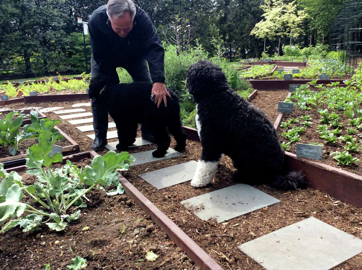 What we learned in the garden with former White House chef and