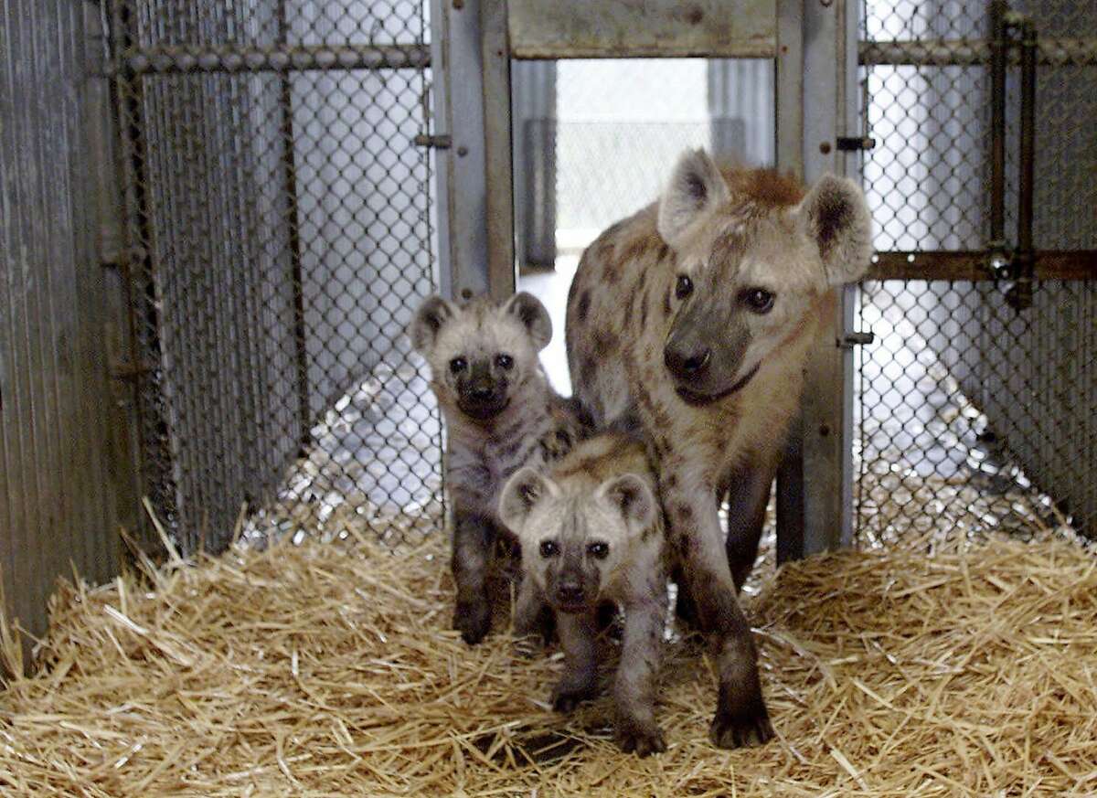 Hidden secrets and legends on the UC Berkeley campus