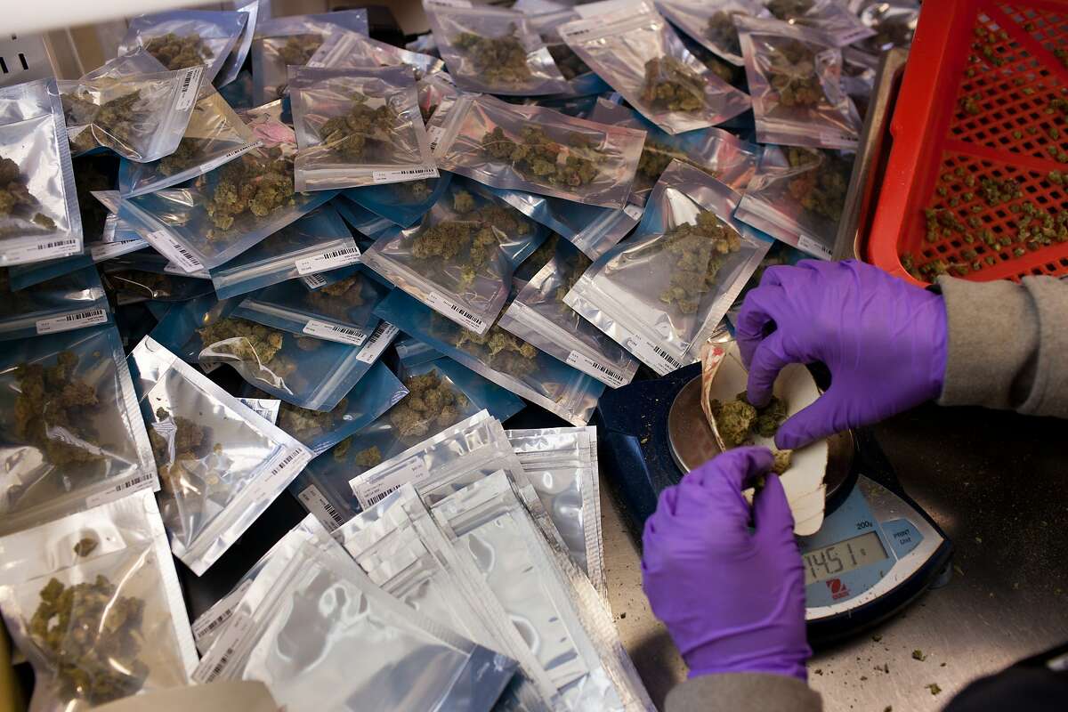 Angela Grasty weighs and packages medical marijuana at Harborside Health Center in Oakland, Calif. on Thursday, June 5, 2014.
