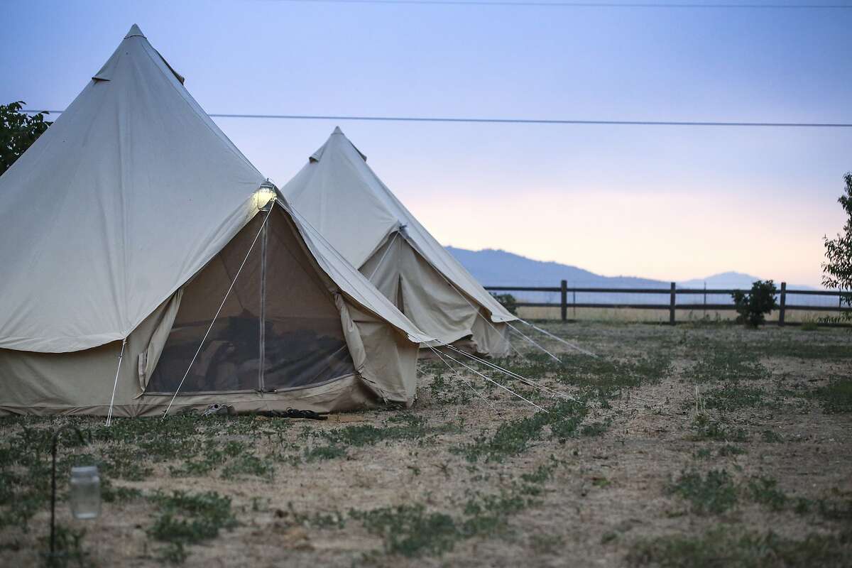 Meat Camp Grilling, butchering and female bonding