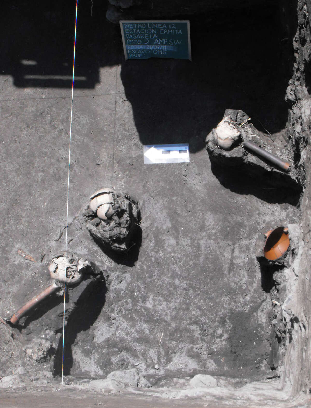 This July 21, 2011 image released by Mexico's National Institute of Anthropology and History (INAH) shows the skeletons of a dog and humans found during excavations for the newest line 12 of the subway in Mexico City. Archaeologists say the dog's skull had holes, that indicate it was displayed on a ritual Aztec skull rack normally reserved for human sacrifice victims. (AP Photo/INAH)