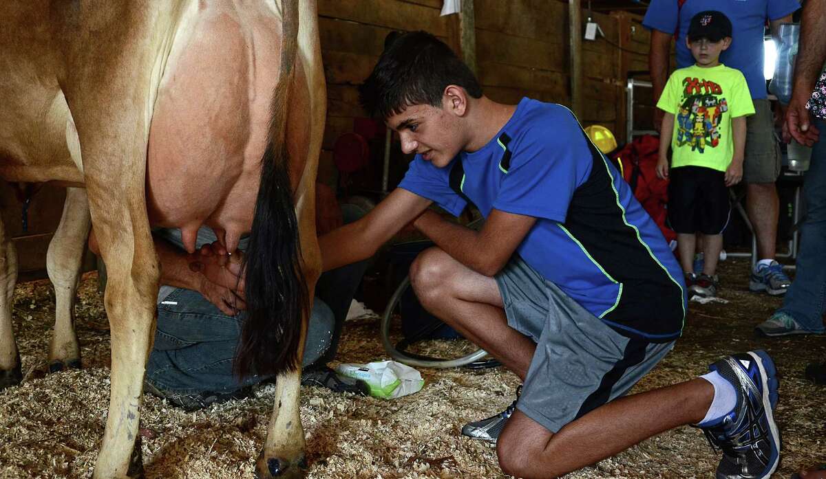 Joey Chenoweth, 13, learns how to milk a cow by hand at the 64th annual Bridgewater Country Fair in Bridgewater, Conn., Saturday, Aug. 22, 2015.