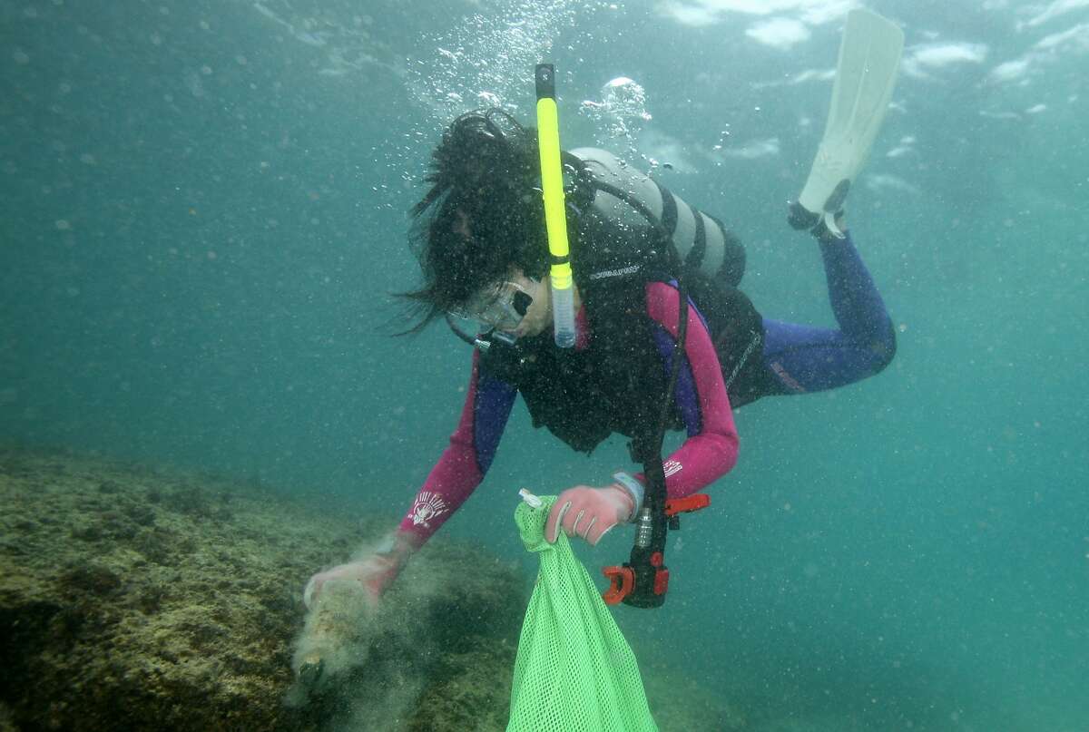 Second garbage patch the size of Texas discovered in Pacific Ocean