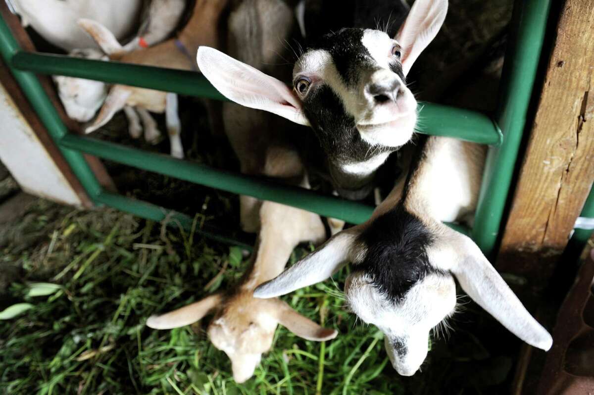 Visit Rose Apothecary from 'Schitt's Creek' in upstate New York