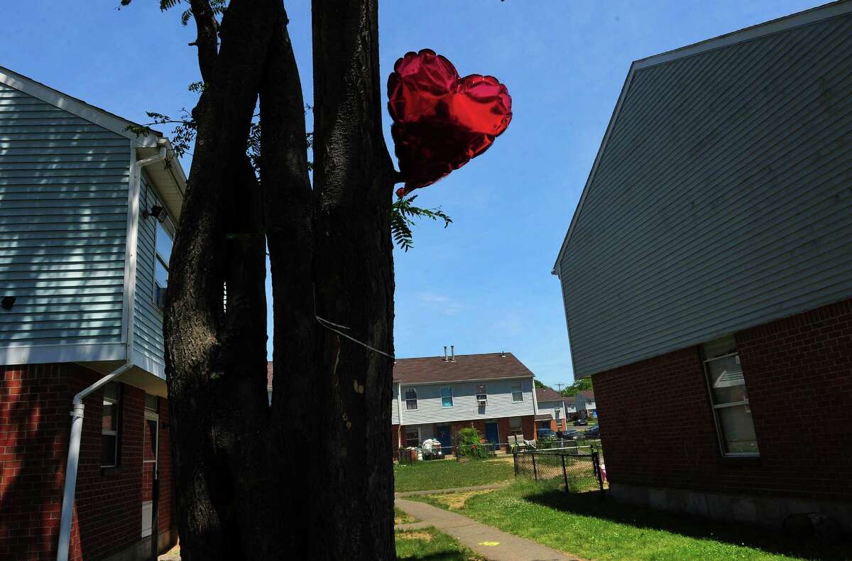 A single red balloon is tied to a tree in honor of a man who was shot and killed this past Thursday at the Trumbull Gardens housing complex on Trumbull Avenue in Bridgeport, Conn., on Saturday June 13, 2015. Seven other were injured in the incident.