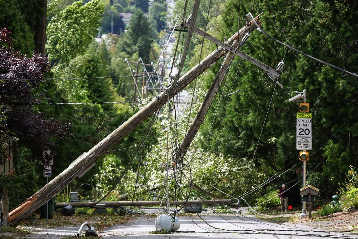 Rare August Windstorm Hits Seattle