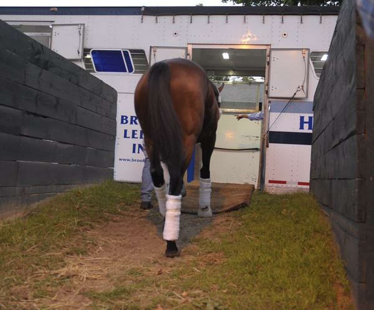 Photos: American Pharoah, Smokey head back to California