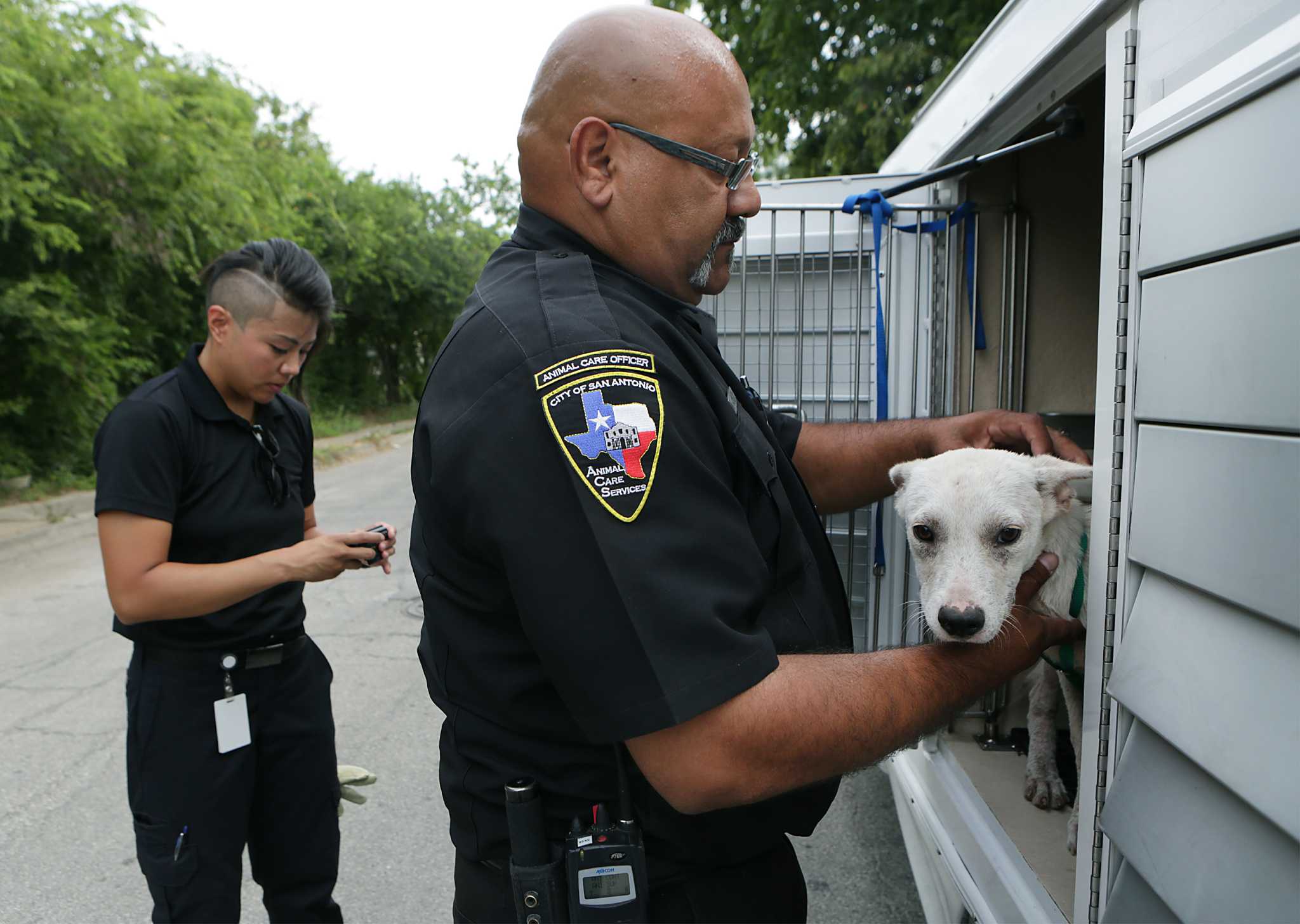 San Antonio reaches nokill goal, but ACS has sights set even higher