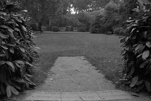 The Mysteries Of Shakespeare Garden In Golden Gate Park