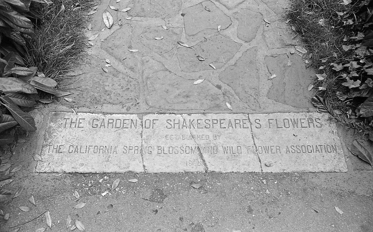 The mysteries of Shakespeare Garden in Golden Gate Park
