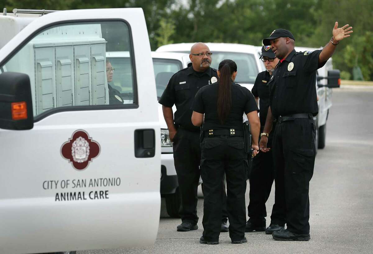 San Antonio reaches nokill goal, but ACS has sights set even higher