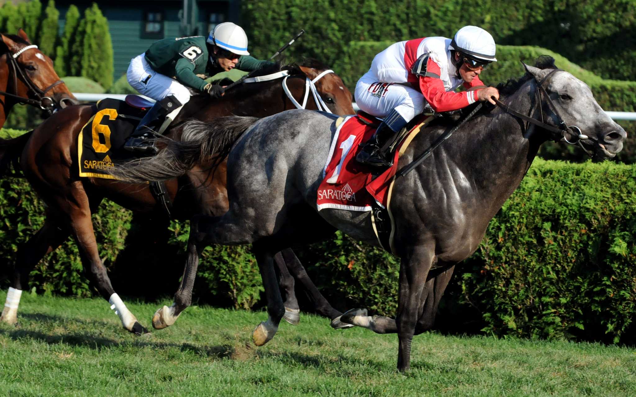 Saratoga Race Course a sellout amid hope American Pharoah will run in  Travers