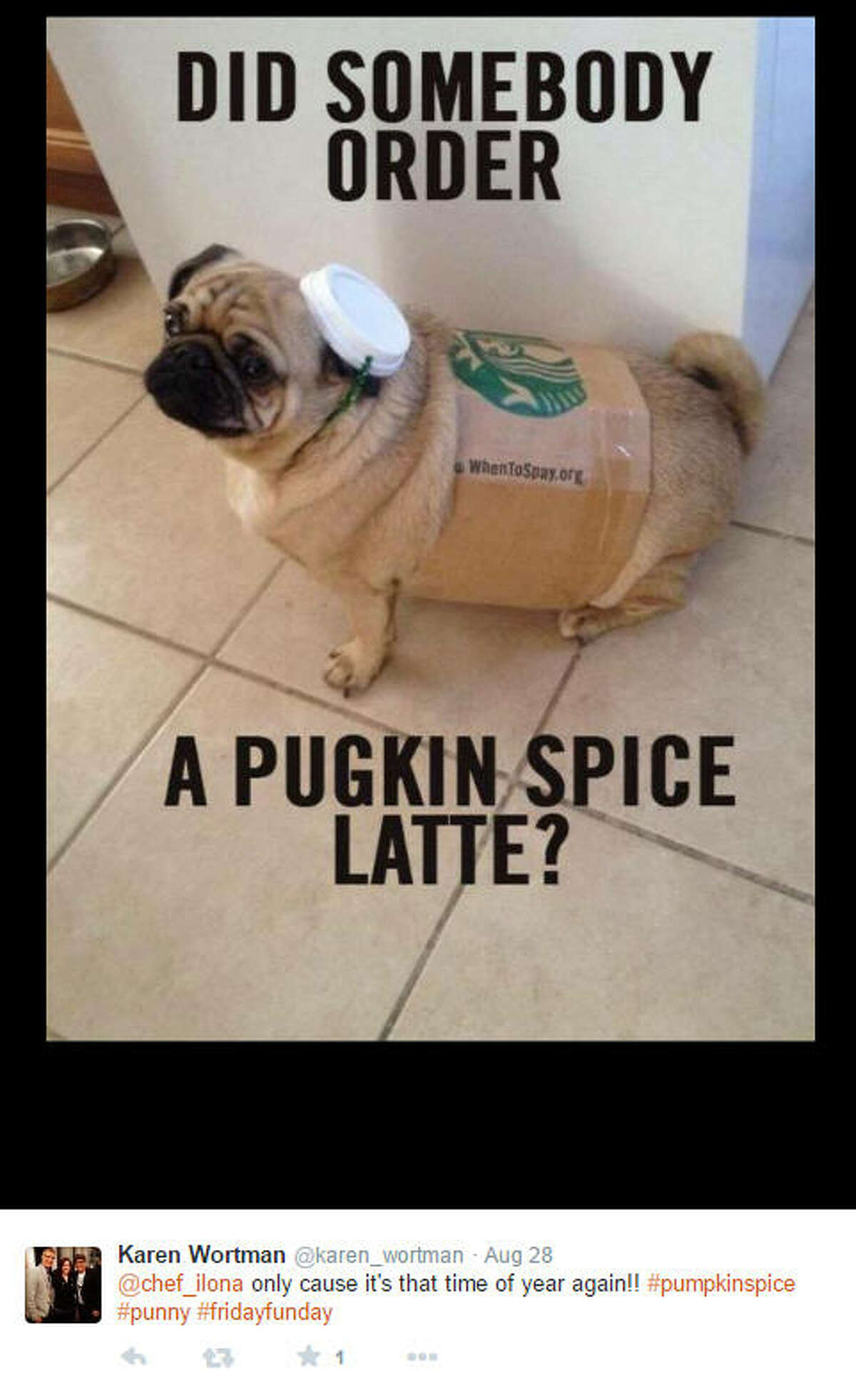 Pumpkin Spice Latte memes from the