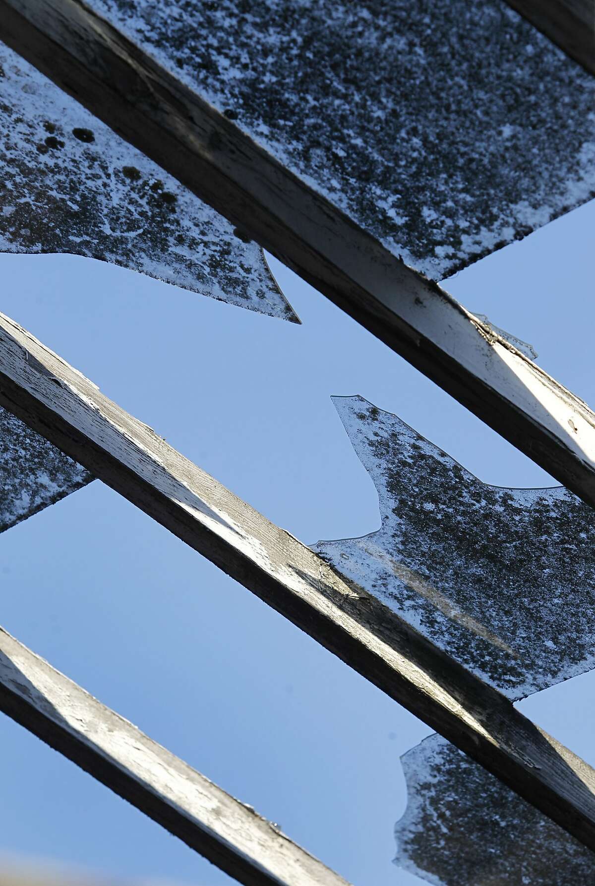 Greenhouse Project wants agriculture on site marketed for housing