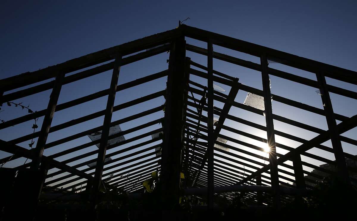 Greenhouse Project wants agriculture on site marketed for housing