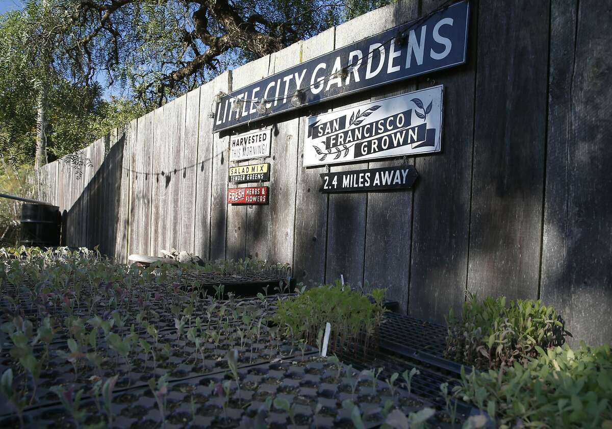 Greenhouse Project wants agriculture on site marketed for housing