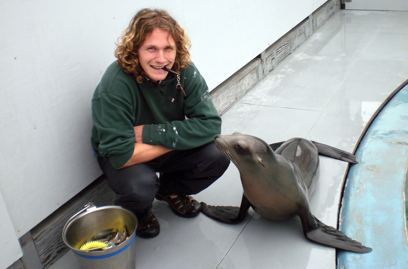 Starving sea lion found in San Diego, California, restaurant