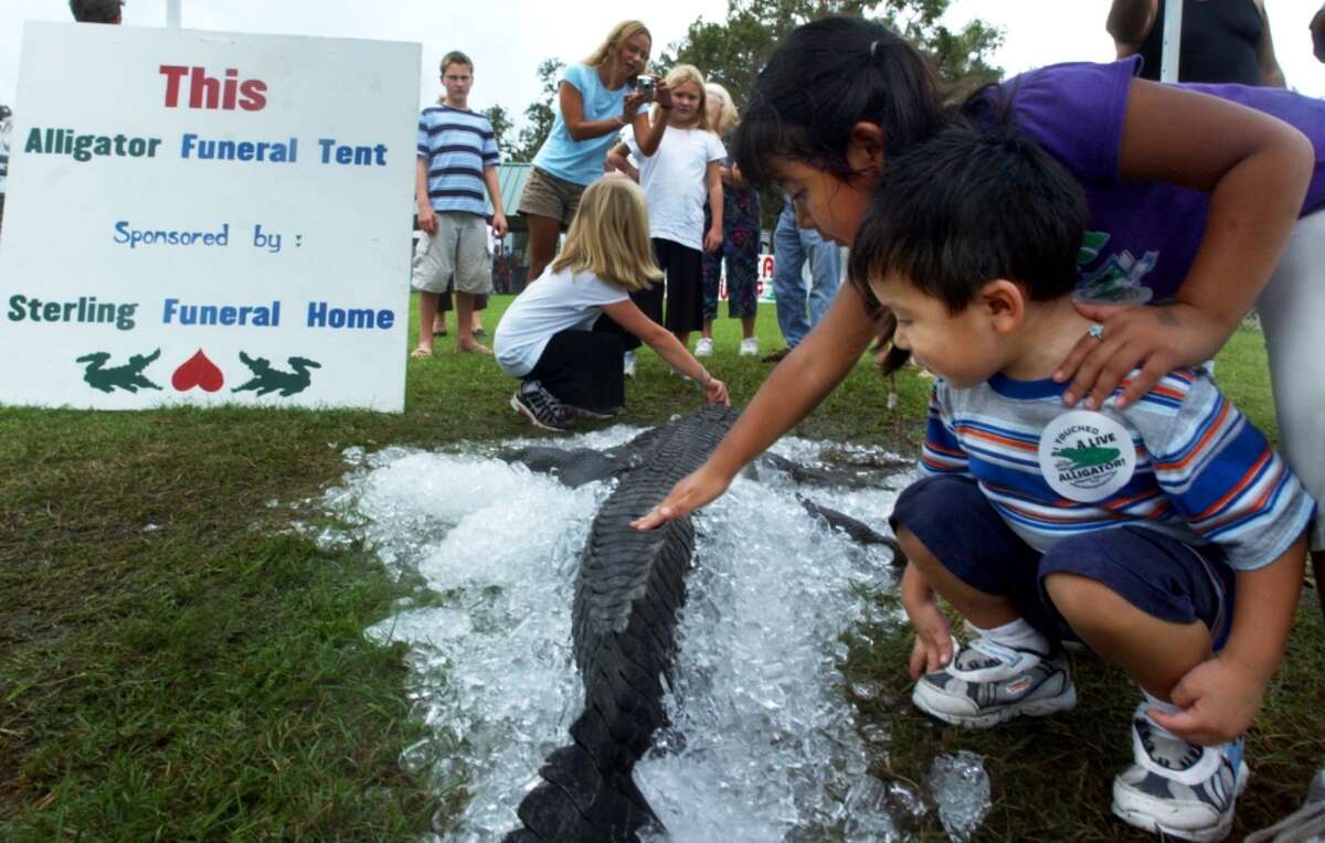 Jessica, 6, and Michael Rocha, 2, touch the tail of a 10 foot alligator under a "Funeral Tent" during the 18th annual Texas GatorFest Sunday, September 17, 2006, in Anahuac, Texas. The festival featured a petting zoo, live alligator display, airboat rides, gator on a stick and a gator round up competition among others. Enterprise file photo