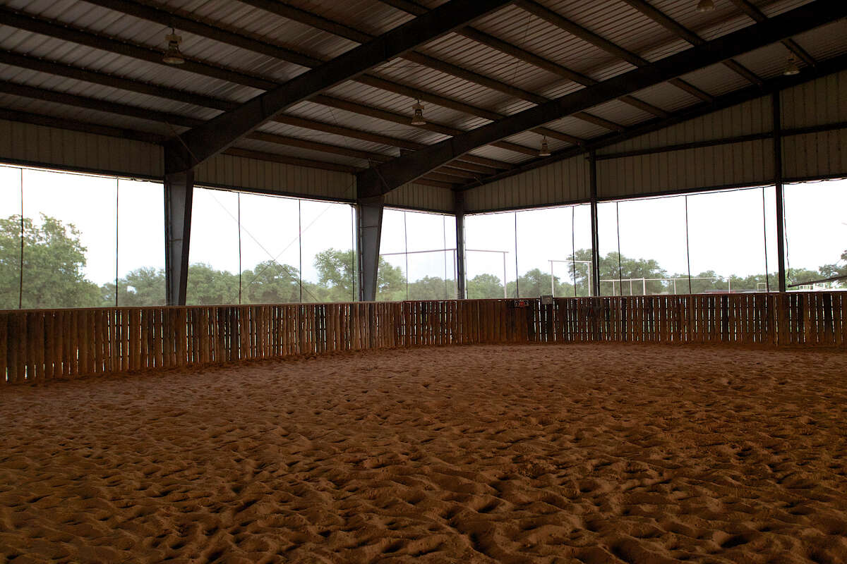 Alice Walton of famed Walmart family selling 19.75 million Texas horse