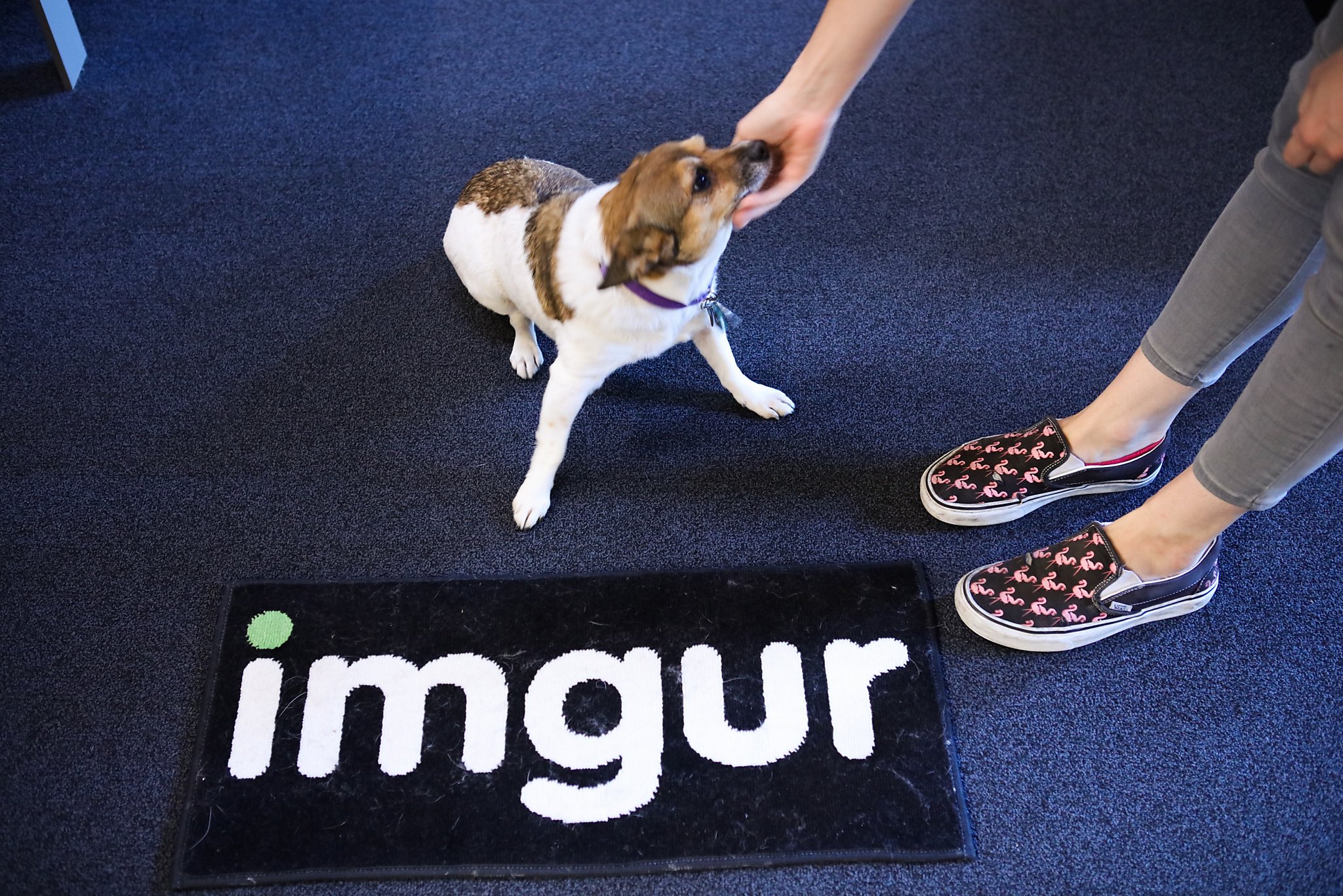 When it came to decorating Imgur’s Jackson Square office, the image-sharing...