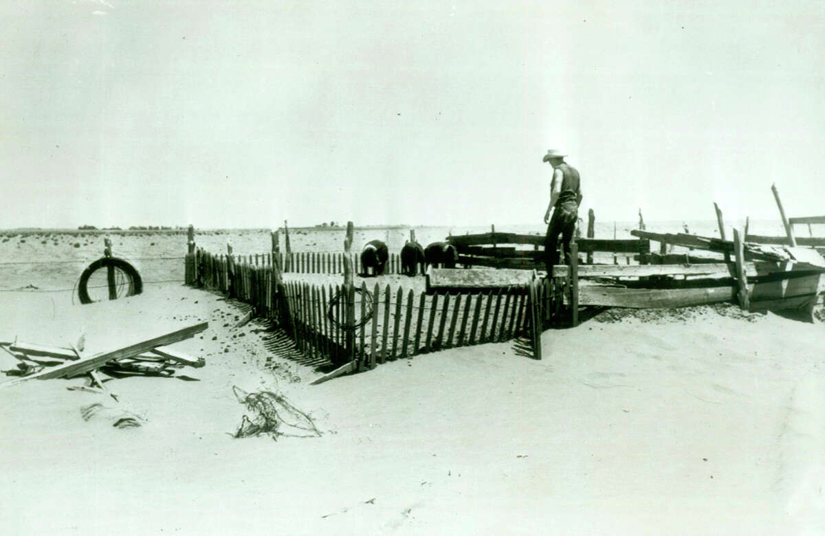 The serious drought in Texas is brought into sharp focus in this typical scene showing J.B. Hoffman looking at a pig pen raised about four feet by drifting sand on his father's 400-acre farm near Lamesa. Agriculture Secretary Ezra Taft Benson left the drought-sick state after promising farmers and cattlemen a point by point program of government help "within a matter of hours."