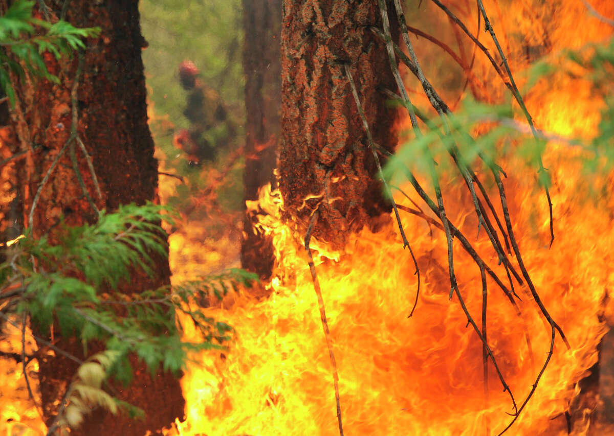 Heavy rain won't lessen Calif. wildfires – it will fuel them