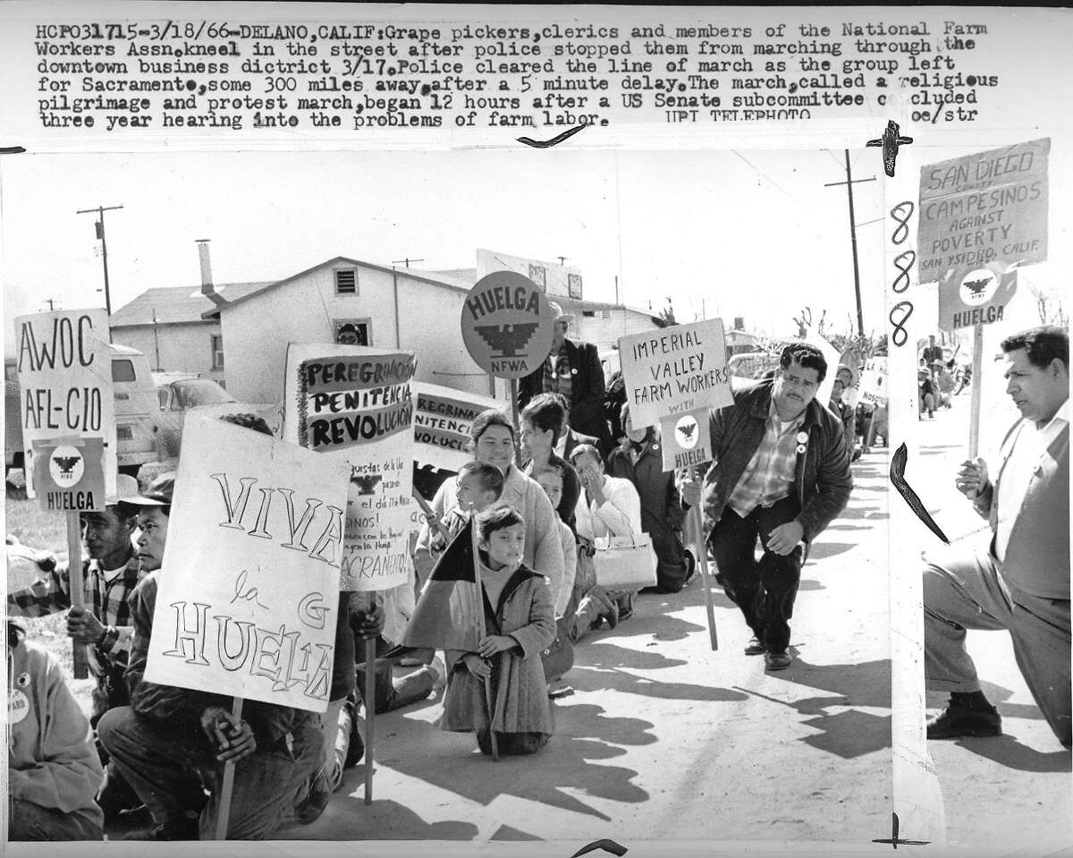 Legacy of the Delano grape strike, 50 years later