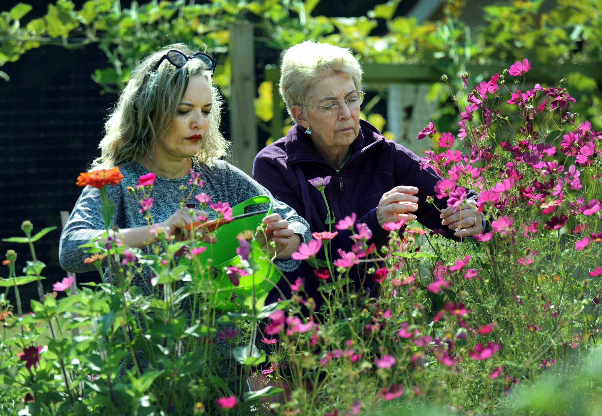 Master gardeners plant gardening ideas with Bethel demonstration garden