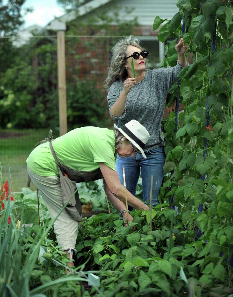 Master Gardeners Plant Gardening Ideas With Bethel Demonstration