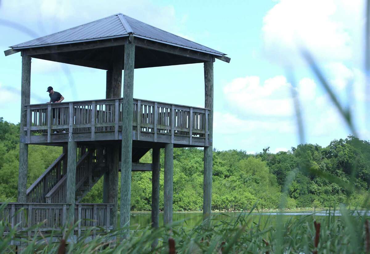 An unidentified man peers over the railing of White Lake's observation deck at Cullinan Park Conservancy in Sugar Land.