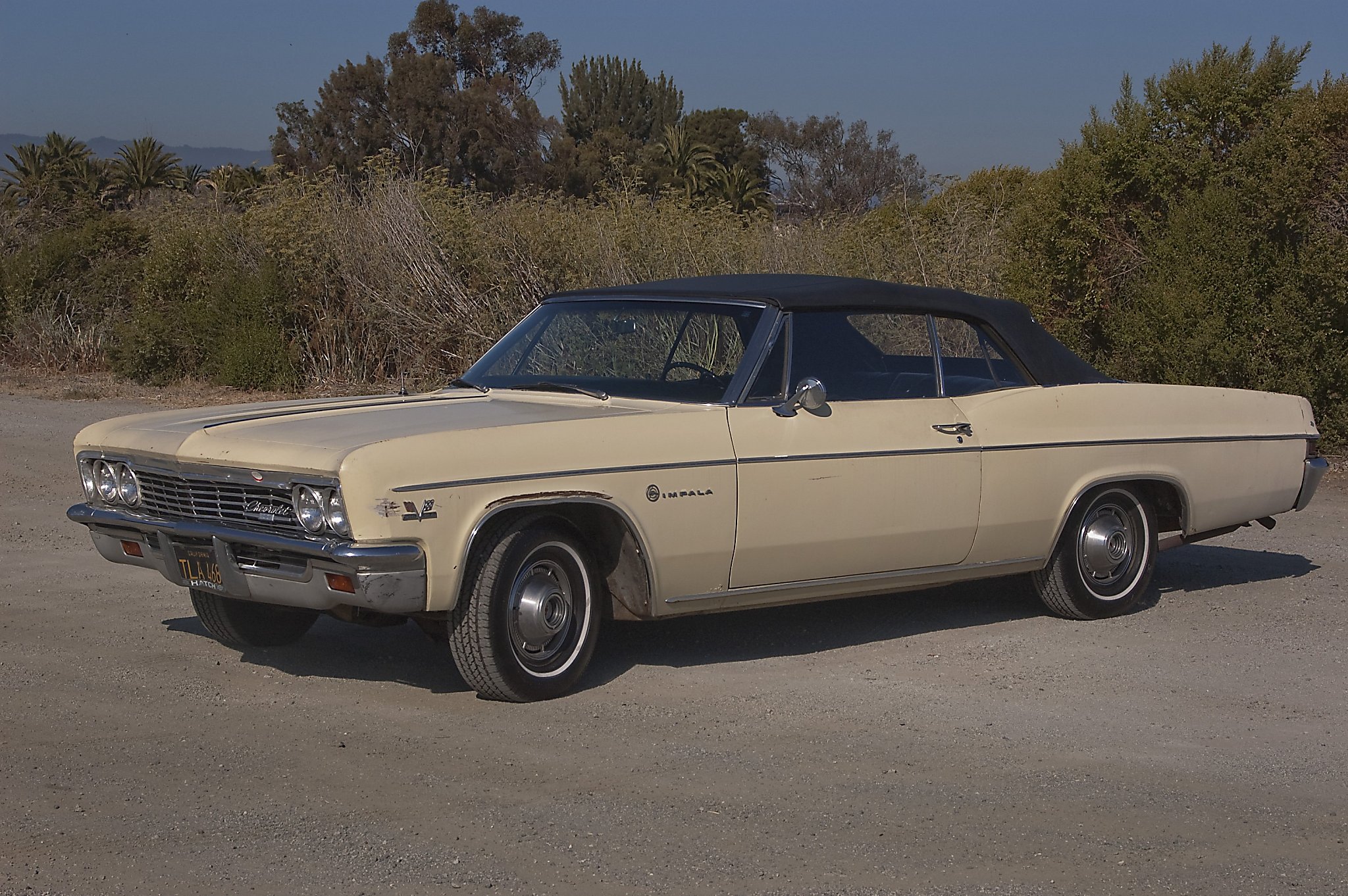 Keeping the Impala in the family, image size:2048x1362