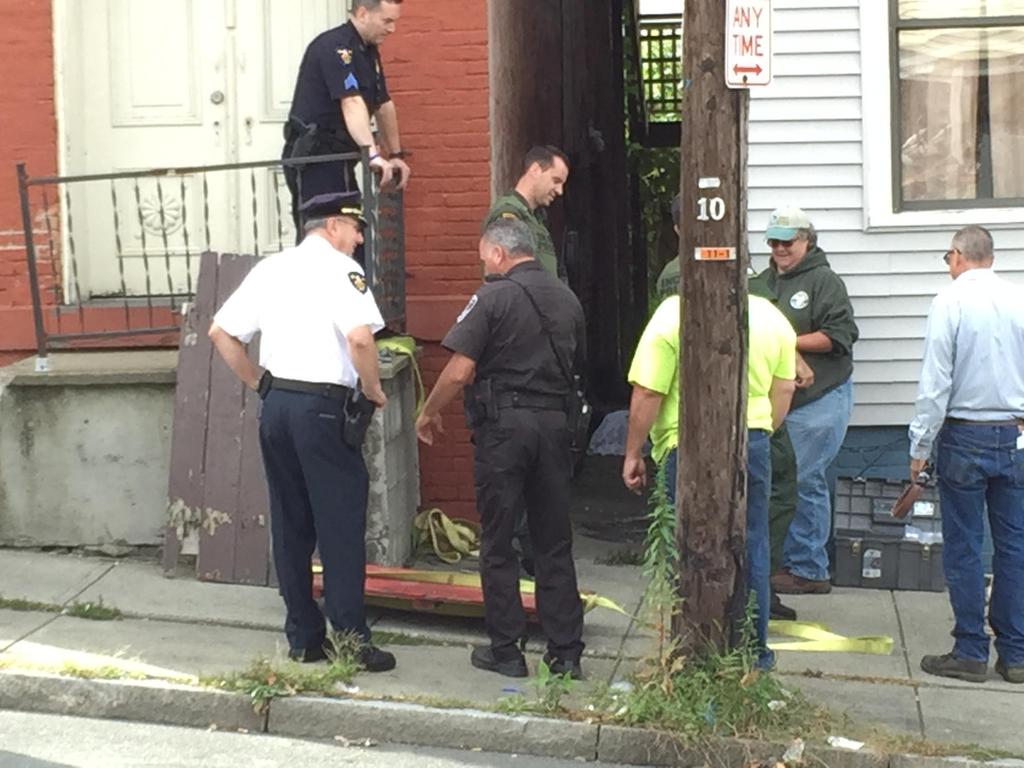 Moose on nine-hour area tour nabbed in Troy backyard