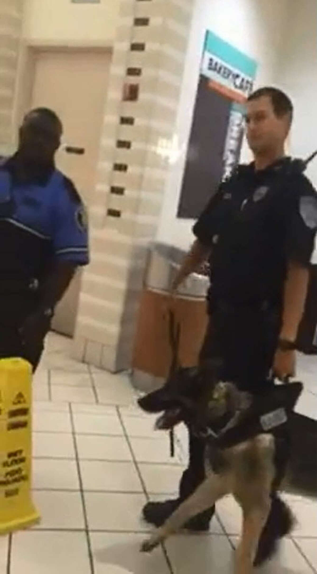 Willowbrook Mall arrest video goes viral as bystanders question