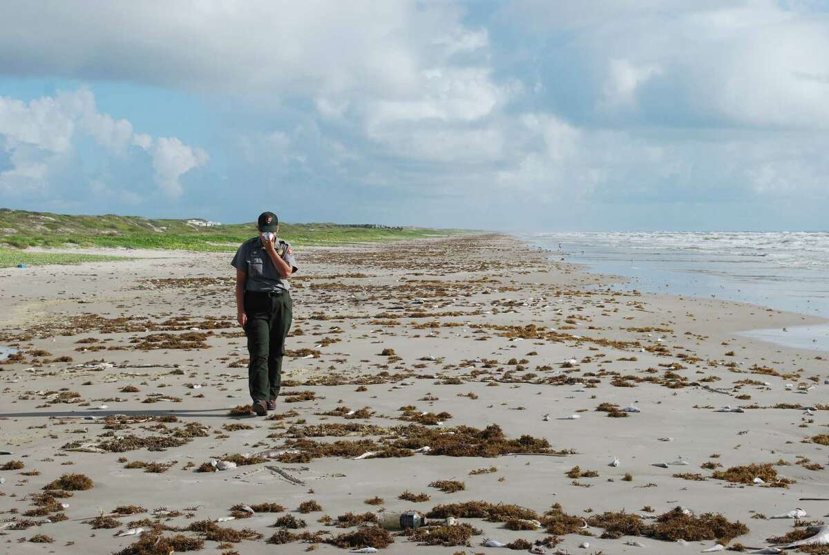 Unprecedented red tide at Padre Island National Seashore blamed for